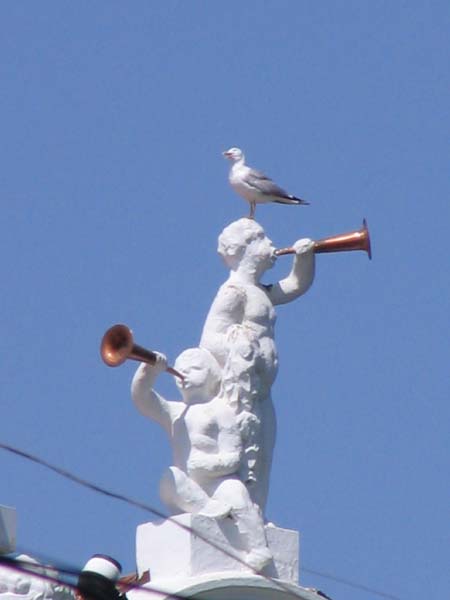 46