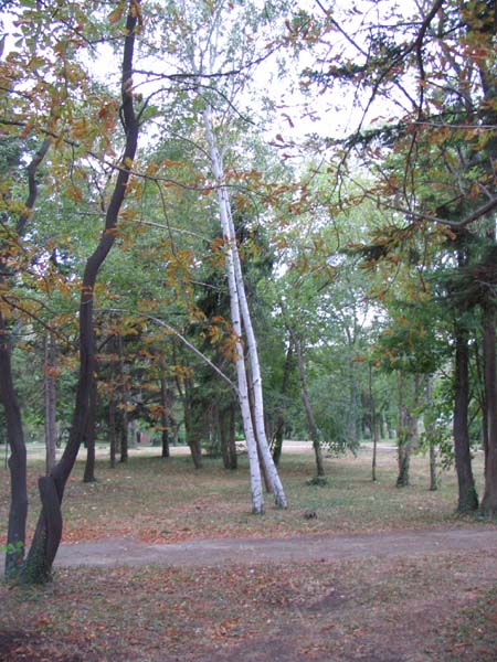 98